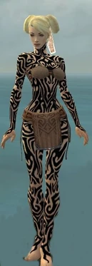 Monk Flowing Armor F dyed front