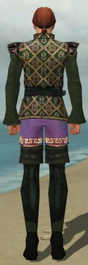 Mesmer Courtly Armor M gray chest feet back