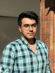 Abbas Abedini (4baws)