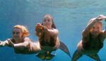 Mako Mermaids Under Water