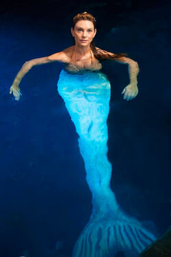 Cynthia Mermaid: Mako Mermaids Q&A