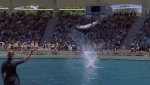 Marine park transition 2x12.gif (6.04 MB)