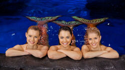 Cynthia Mermaid: Mako Mermaids Q&A