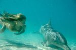 Emma Swims With Dolphin