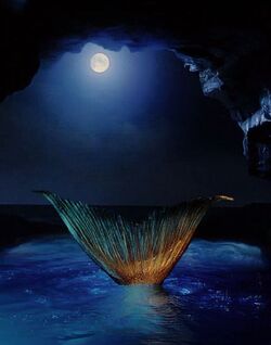 h2o just add water wiki fandom