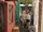 New Moon Antiques