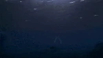 Rikki and cleo swim 2x12.gif (6.01 MB)
