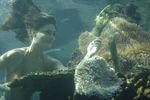 Foxy Cleo Underwater.jpg (898 KB)