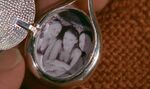 Mermaids In The Locket