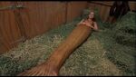 Mermaid Emma Lying on Hay