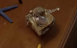 Cleo's locket shop