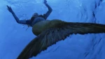 1x01 Emma discover is a mermaid.gif (2.44 MB)