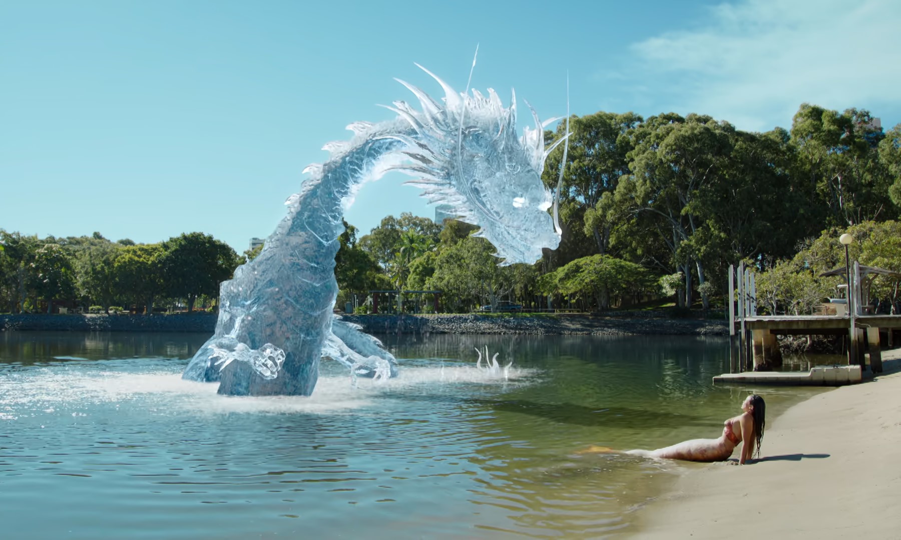 chinese water dragon swimming in pool