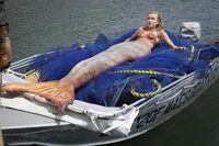 Ondina's Tail