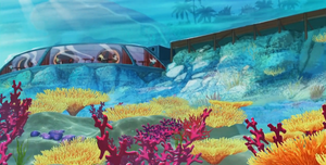 Dolphin Bay