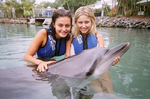 Phoebe And Dolphin