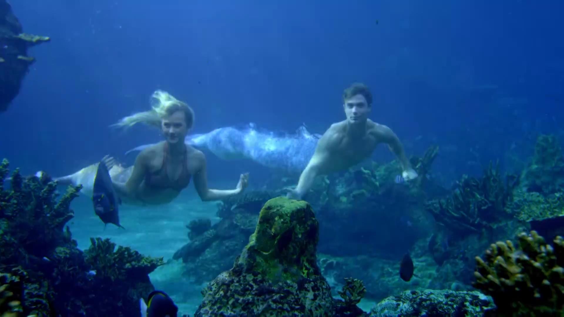 Mako mermaids: The Dragon Mermaid And The Chosen//Rewriting