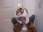 Tiger-fairy costume