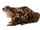 Toad