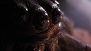 Arachnophobia 1990 article marshall int-1920x1080