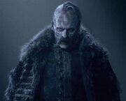 Orlok2024