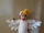 Goose costume