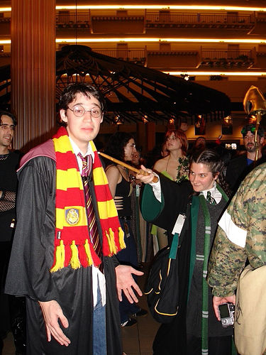 Harry Potter costume, Halloween Wiki