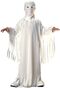 Rubies Child's Ghost Costume, Large