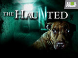 The Haunted (TV series)