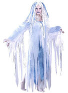5067-Ladies-Spooky-Spirit-Costume-large