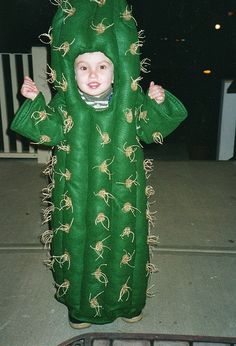 Cactus costume | Halloween Wiki | Fandom