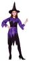 Forum Novelties Spider Witch Costume, Child Medium