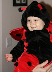 What a cutie!  A happy ladybug.