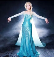 Frozen-Snow-Queen-Elsa-Costume-Custom-Size-For-Adult-and-Kids-Princess-Dress-Blue-Sequined-Cosplay