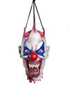 Hanging Clown Head