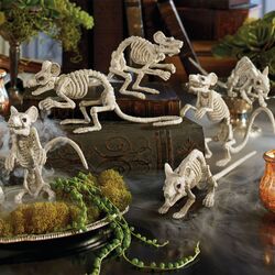 Skeleton Mice