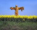 Scarecrow