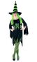 Grunella the Witch Adult Costume
