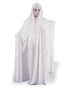 Gossamer ghost costume
