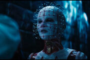 Pinhead2022