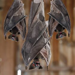 Cocoon Bats