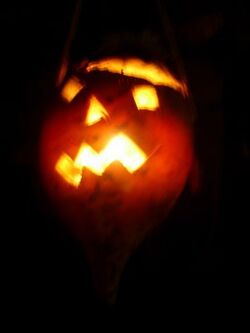 Punkie