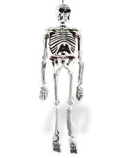 5 foot skeleton