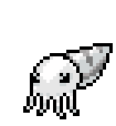 Mount-Cuttlefish-Skeleton