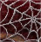 Background spider web.png