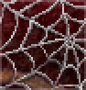 Background spider web