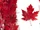 Canadian Bacon