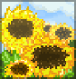 Background giant florals