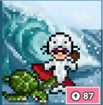 CC SurfinSeal