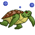 Quest turtle